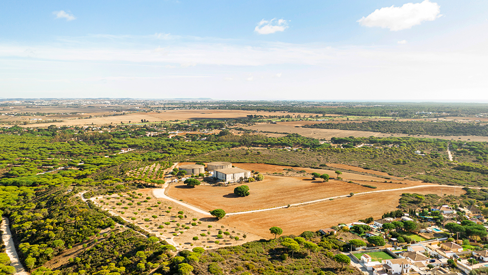 Dholera