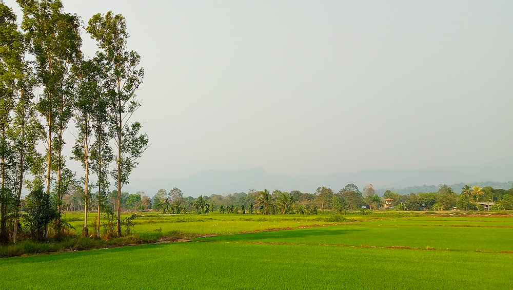 vrindavan