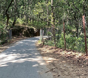 Kalesar National Park